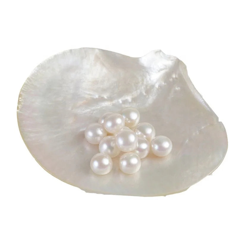 Zhuji Supplier Button Shape Freshwater Pearl for Jewelry Making 2.5-8mm Wholesale 3a Grade Loose Pearl Beads