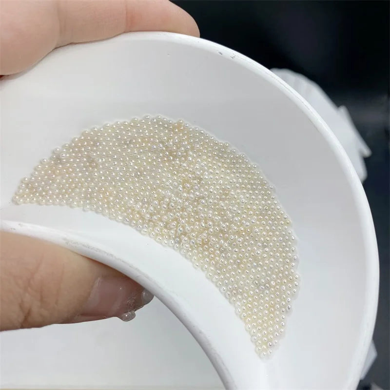 Wholesale Small Size 1.5-2mm Natural Pearls 3A White No Holes Round Freshwater Cultured Pearls Loose Beads for Jewelry Making