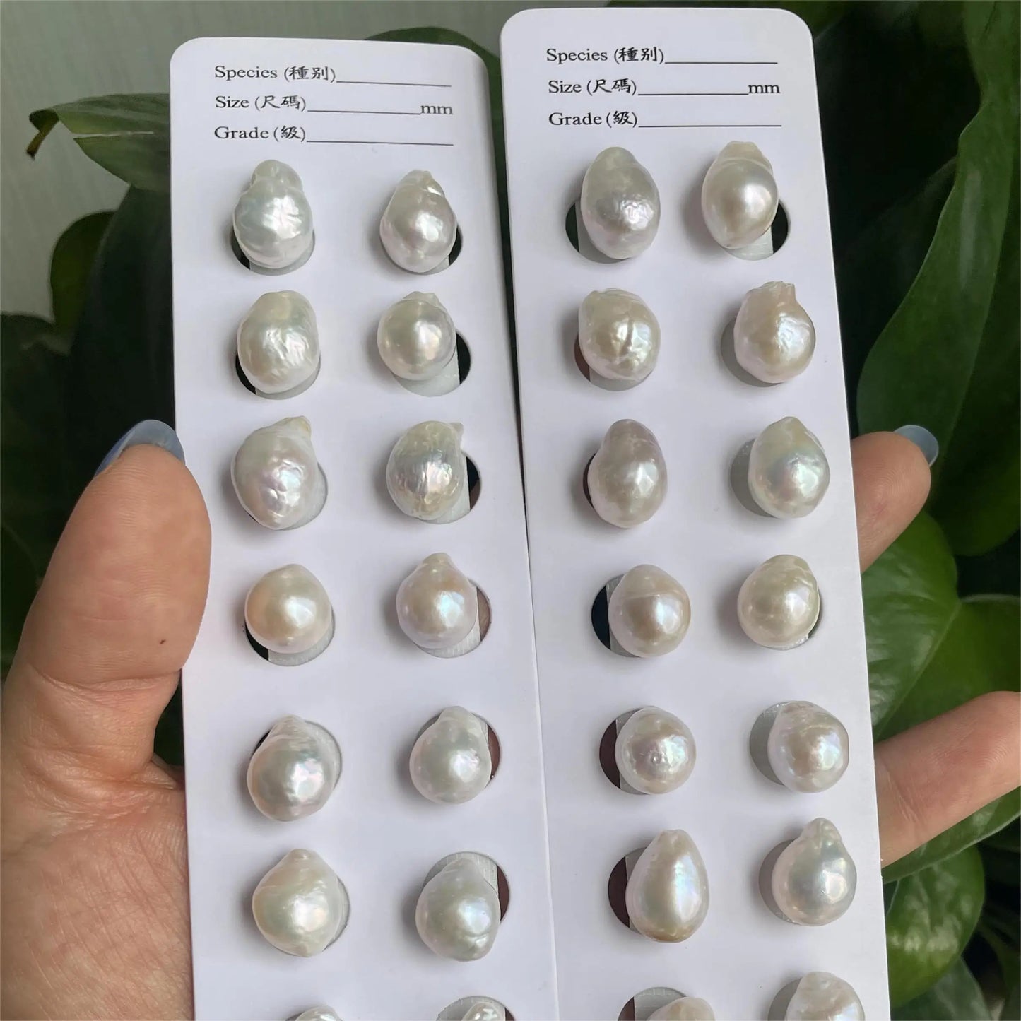 High Quality Natural Loose Pearls 2A Irregular Shape Rainbow Colors Baroque Freshwater Pearls 12mm 13mm for Jewelry Making