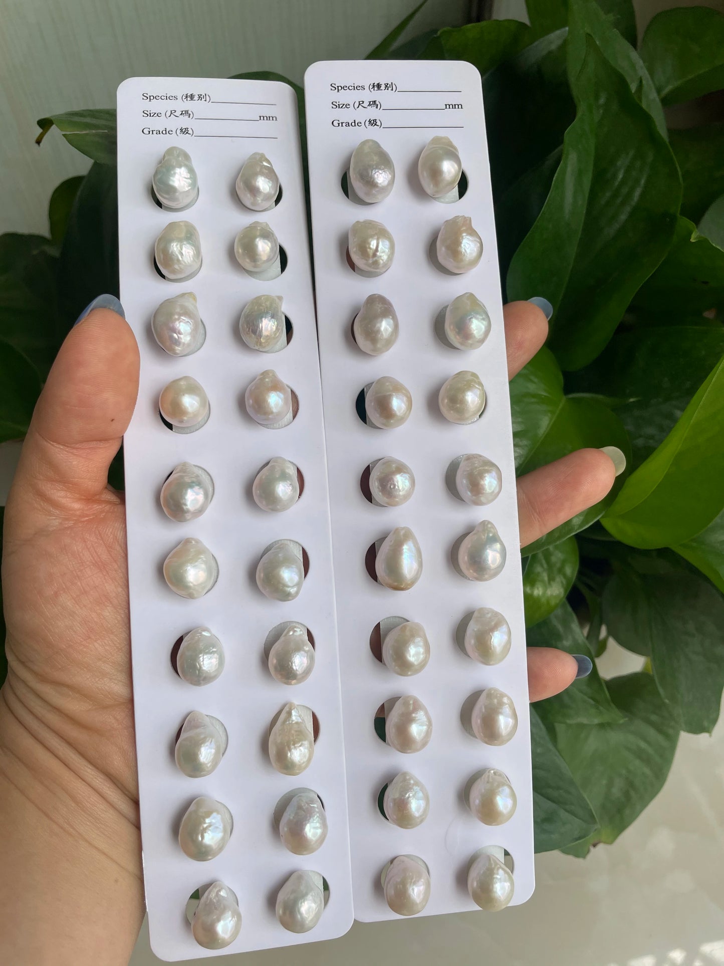 High Quality Natural Loose Pearls 2A Irregular Shape Rainbow Colors Baroque Freshwater Pearls 12mm 13mm for Jewelry Making