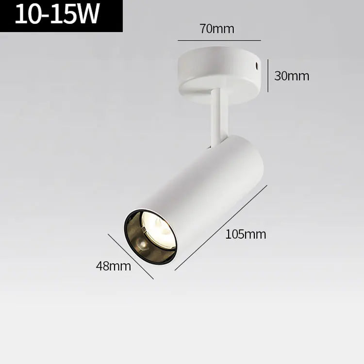 30W LED Spotlight Surface Mounted Light Ceiling Spotlight Jewelry Jewelry Shop Lamp White Light AC85-265V for Showroom