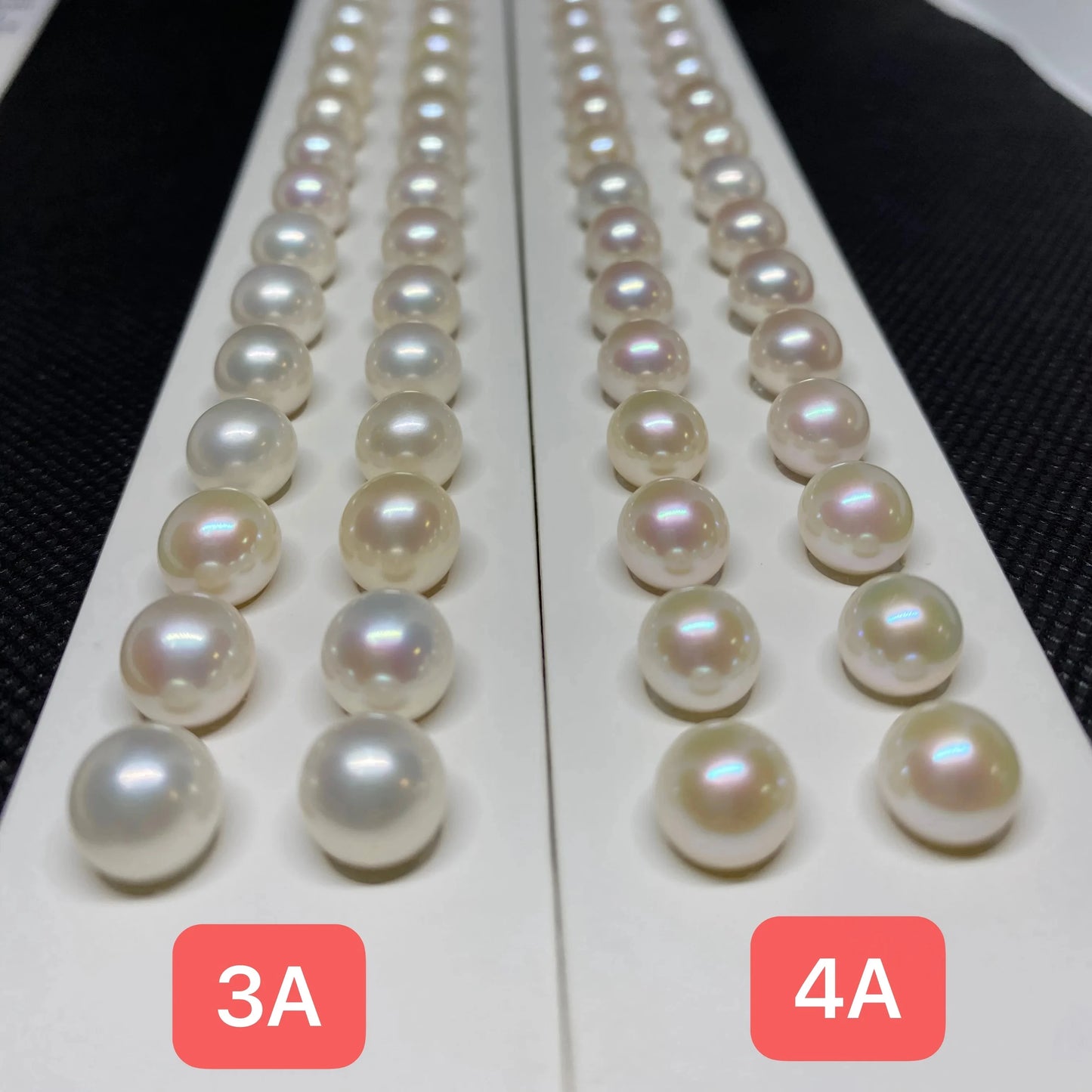 10-14mm Large Size Half Drilled Pearl 3A Fresh Water Pearl Loose Flat Back Button Freshwater Pearl in Low Price