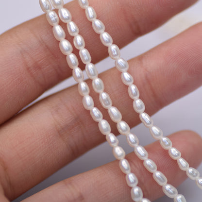 1060Strong light millet shaped pearl about 2.5-3 mm loose beads work in progress DIY
